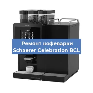Замена жерновов на кофемашине Schaerer Celebration BCL в Волгограде